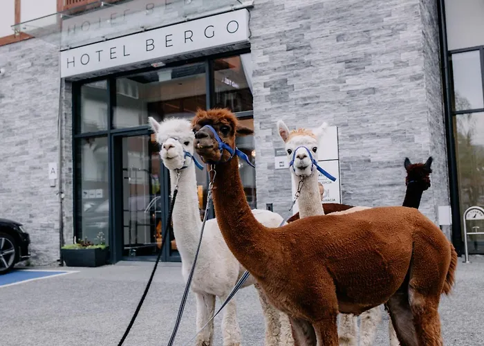 Bergo & 5* Szklarska Poręba